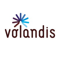 Logo Volandis