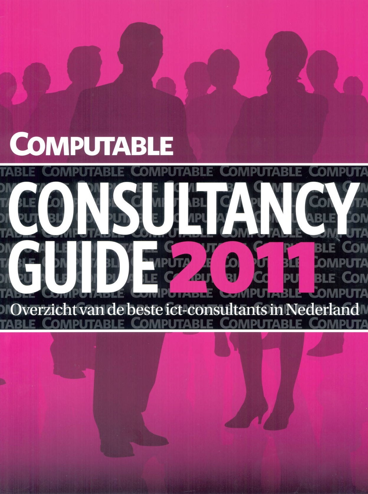 Computable ICT Consultancy Guide – 2011
