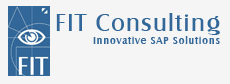 Logo FIT Consulting