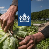 Logo Ministerie van Landbouw Natuur en Voedselkwaliteit