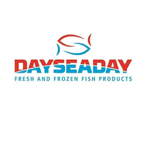 Logo Dayseaday Group