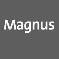 Logo Magnus Digital